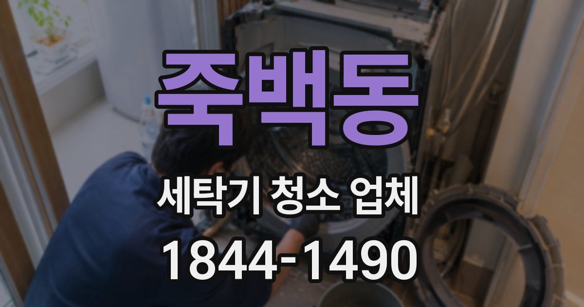 죽백동 세탁기 청소 업체