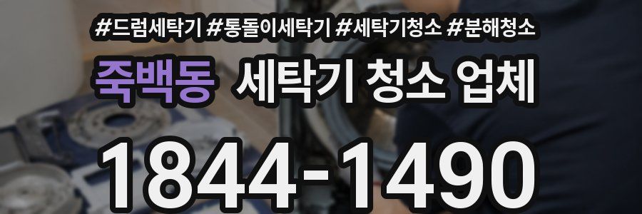 죽백동 세탁기 청소 업체