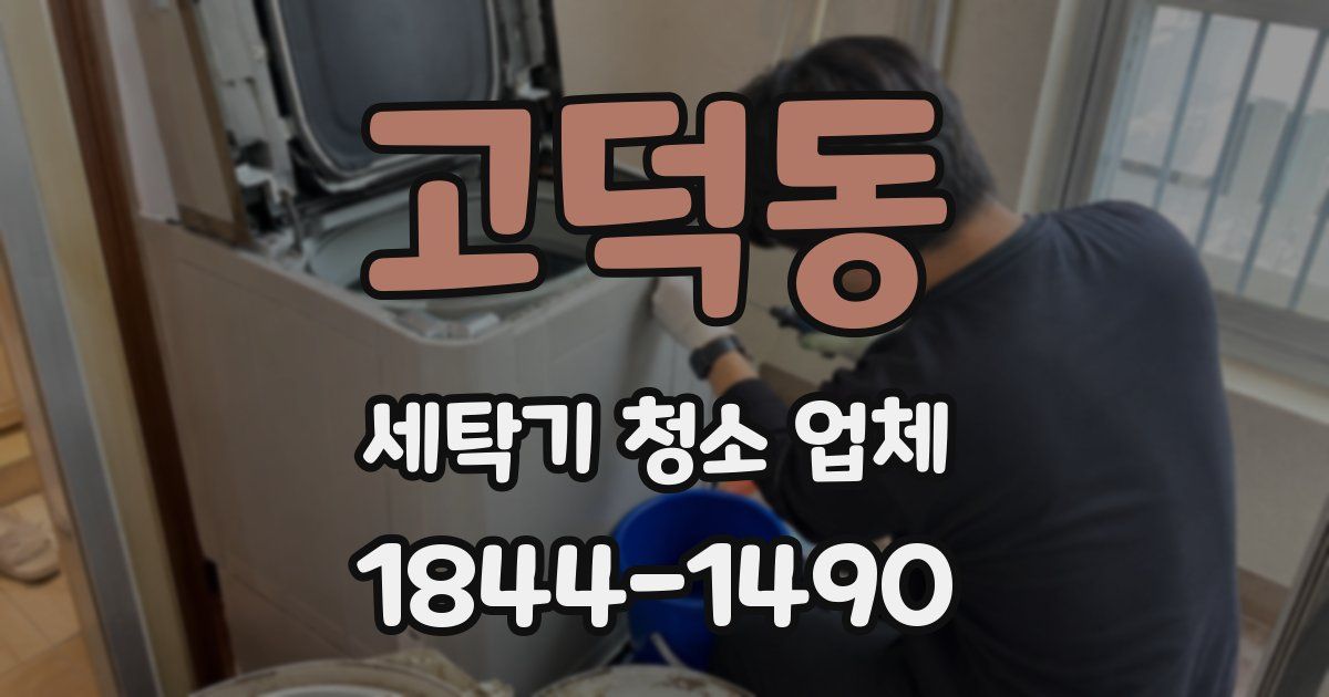고덕동 세탁기 청소 업체