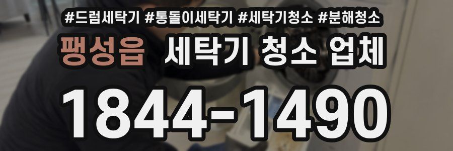 팽성읍 세탁기 청소 업체