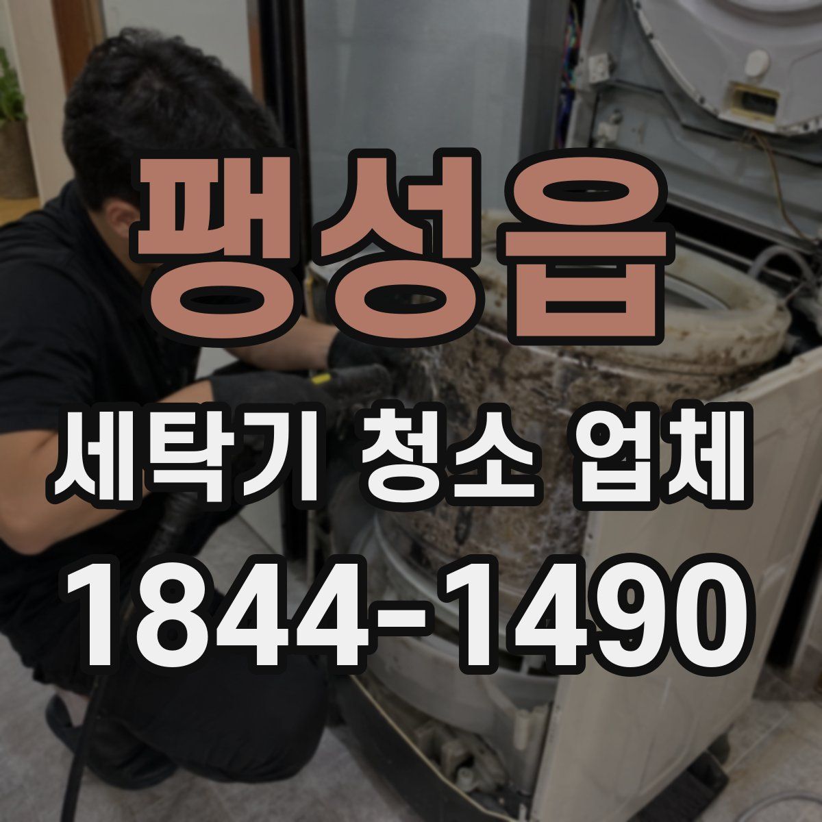 팽성읍 세탁기 청소 업체