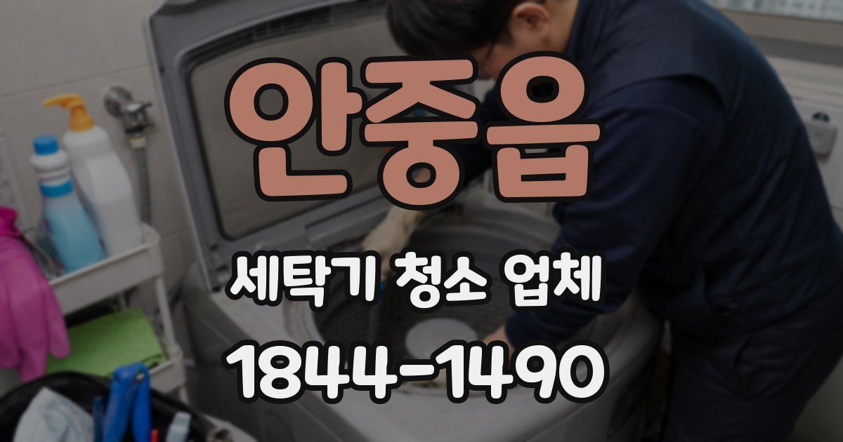안중읍 세탁기 청소 업체