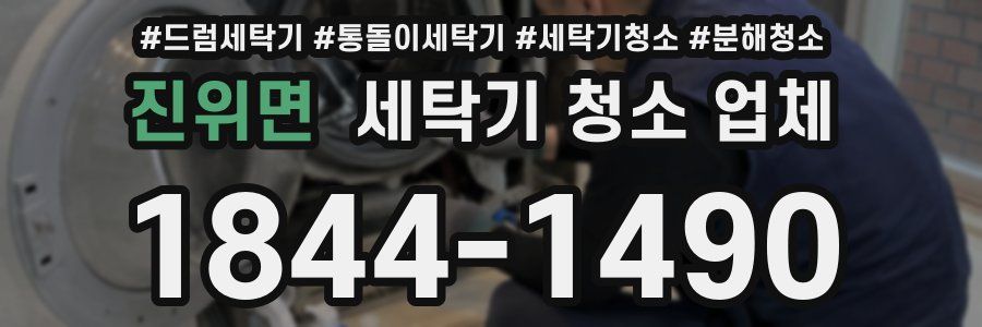 진위면 세탁기 청소 업체