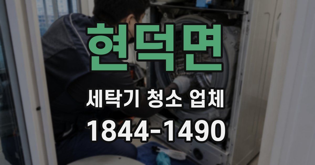 현덕면 세탁기 청소 업체