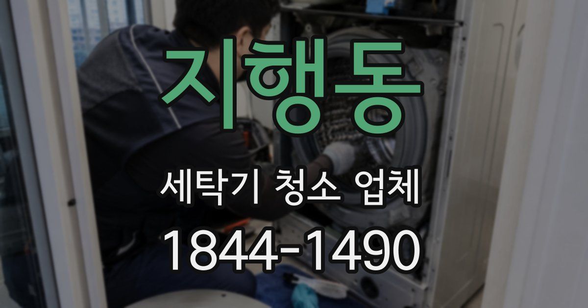지행동 세탁기 청소 업체