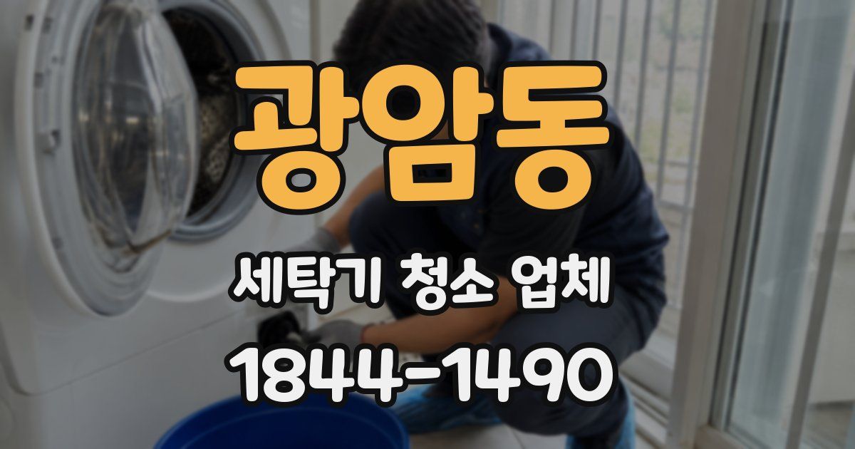 광암동 세탁기 청소 업체