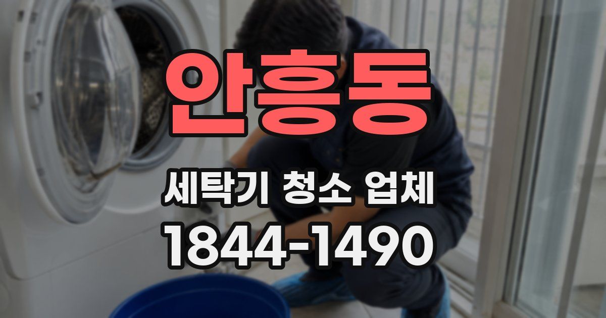 안흥동 세탁기 청소 업체