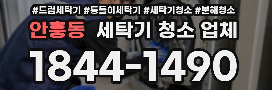 안흥동 세탁기 청소 업체