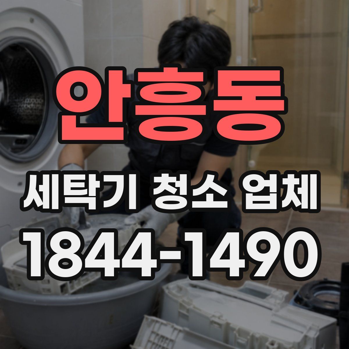 안흥동 세탁기 청소 업체