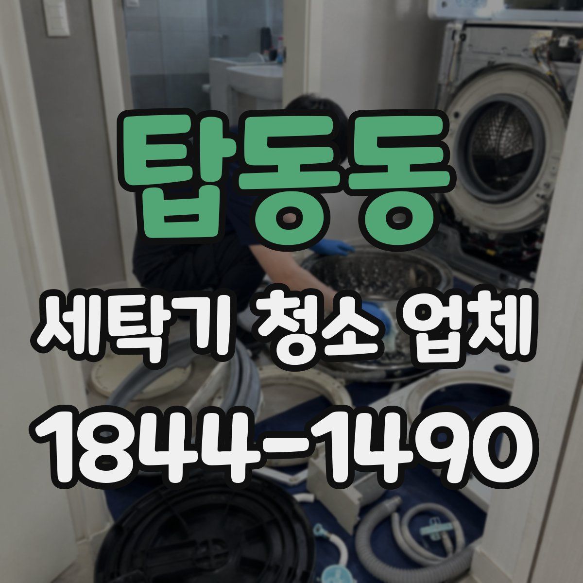 탑동동 세탁기 청소 업체