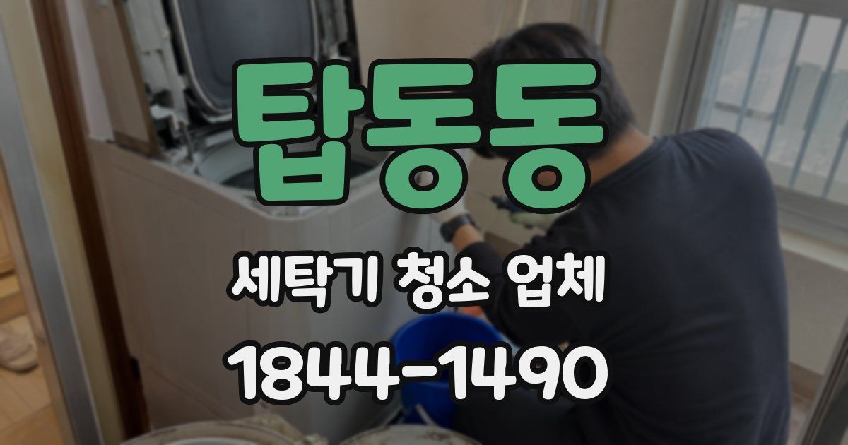 탑동동 세탁기 청소 업체