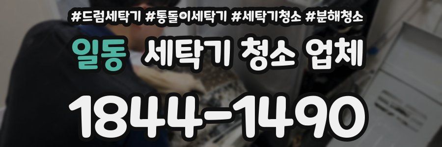 일동 세탁기 청소 업체