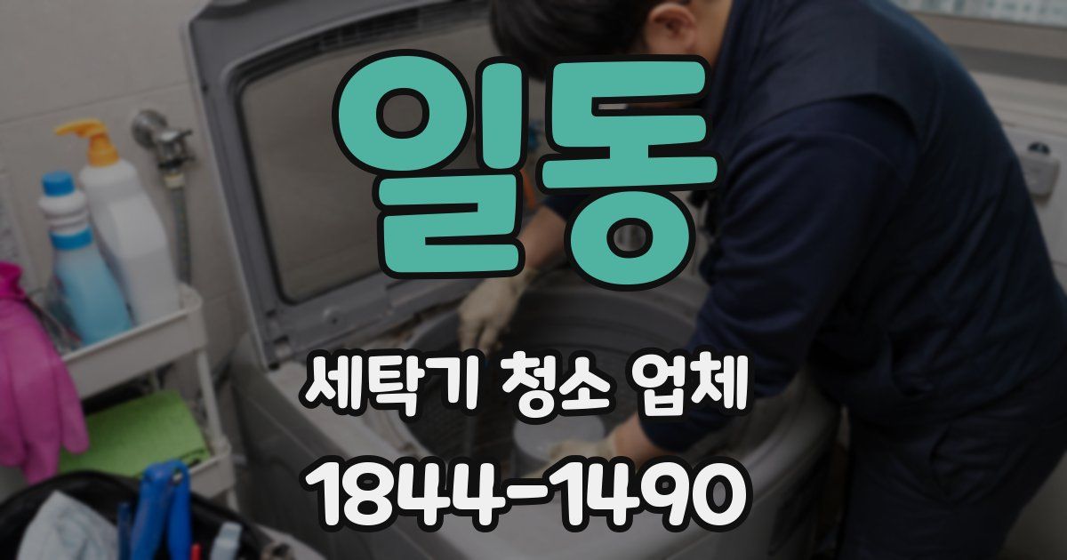 일동 세탁기 청소 업체