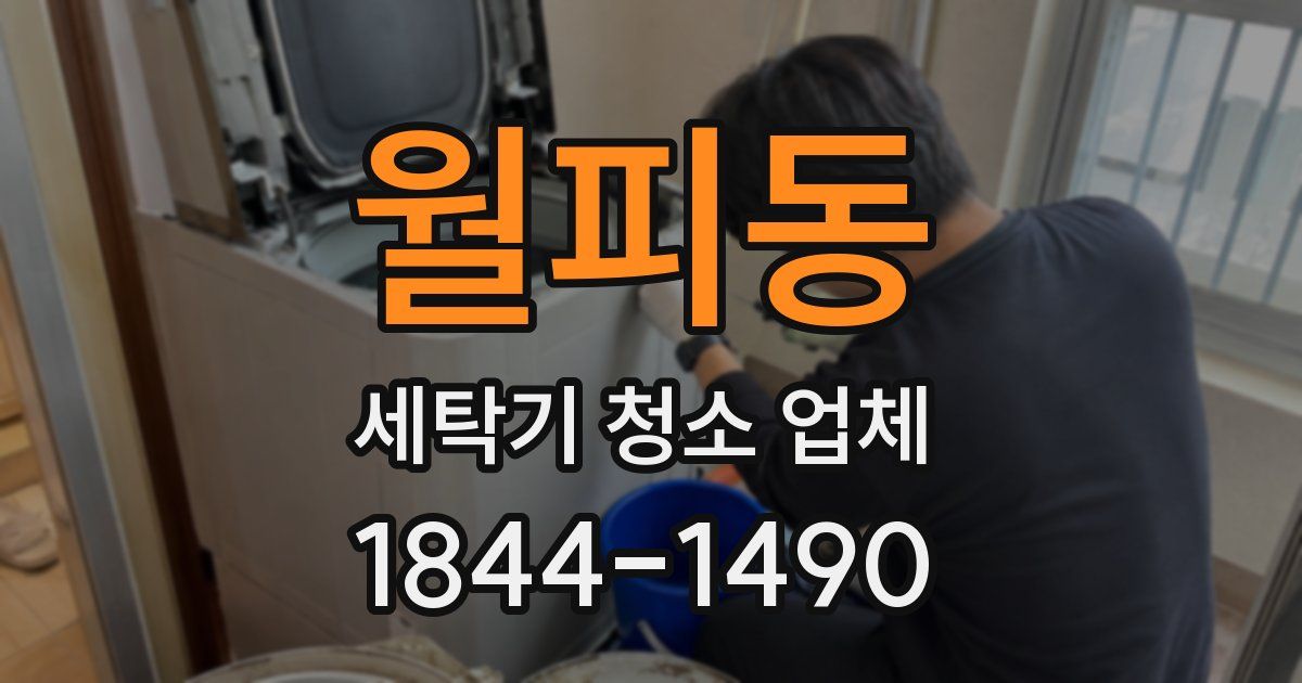 월피동 세탁기 청소 업체