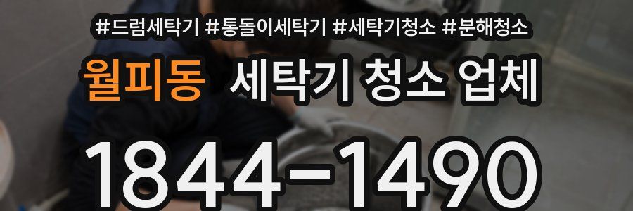 월피동 세탁기 청소 업체