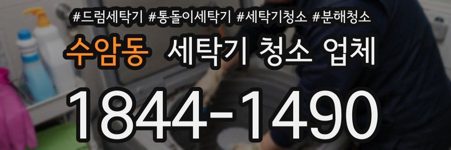수암동 세탁기 청소 업체