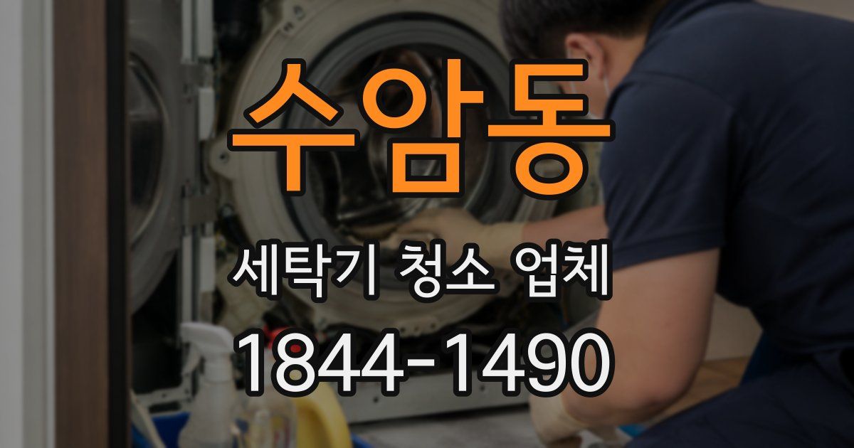 수암동 세탁기 청소 업체