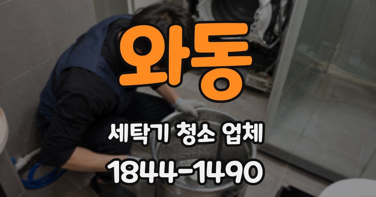 와동 세탁기 청소 업체