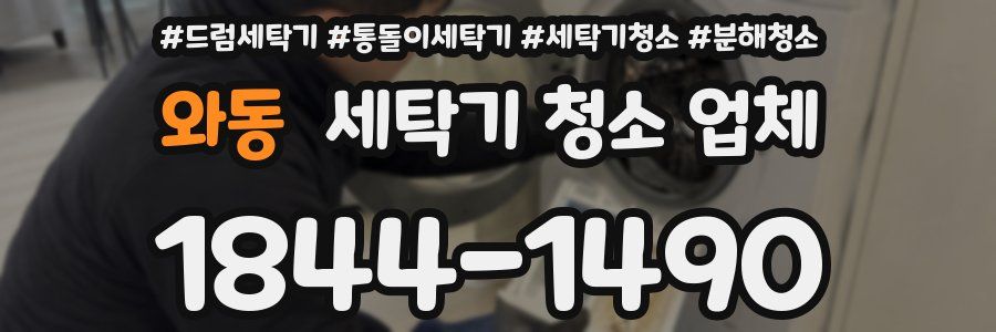 와동 세탁기 청소 업체