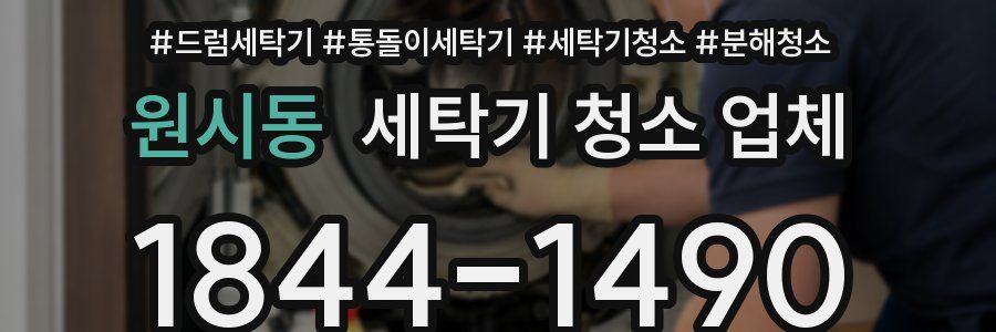 원시동 세탁기 청소 업체
