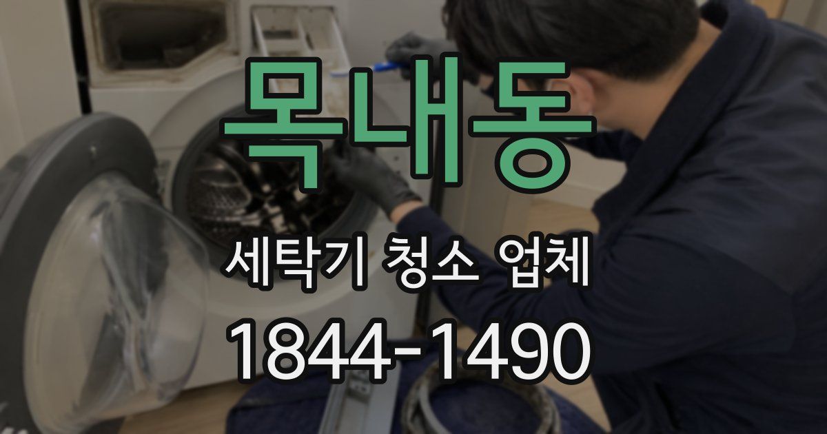 목내동 세탁기 청소 업체