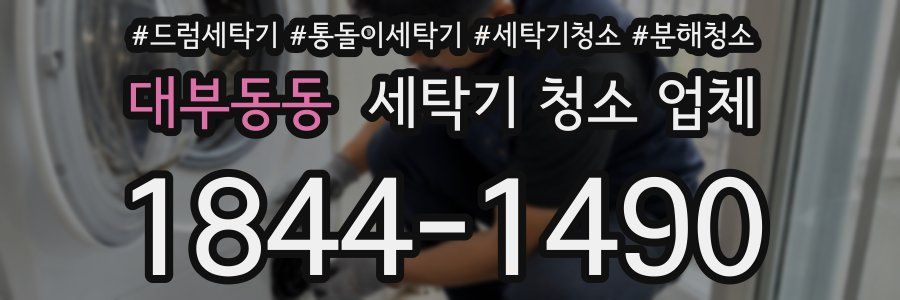 대부동동 세탁기 청소 업체
