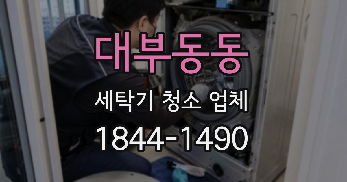 대부동동 세탁기 청소 업체