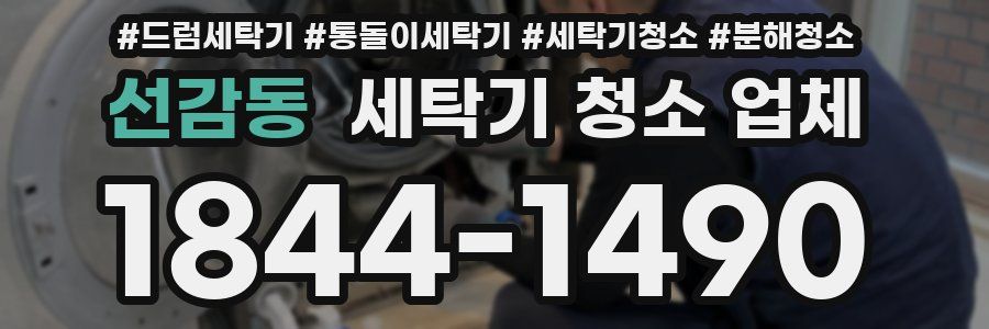 선감동 세탁기 청소 업체