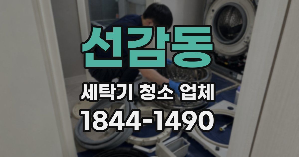 선감동 세탁기 청소 업체