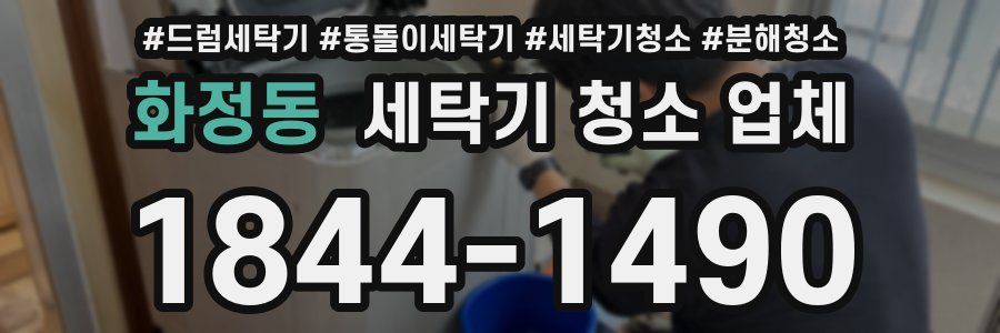 화정동 세탁기 청소 업체