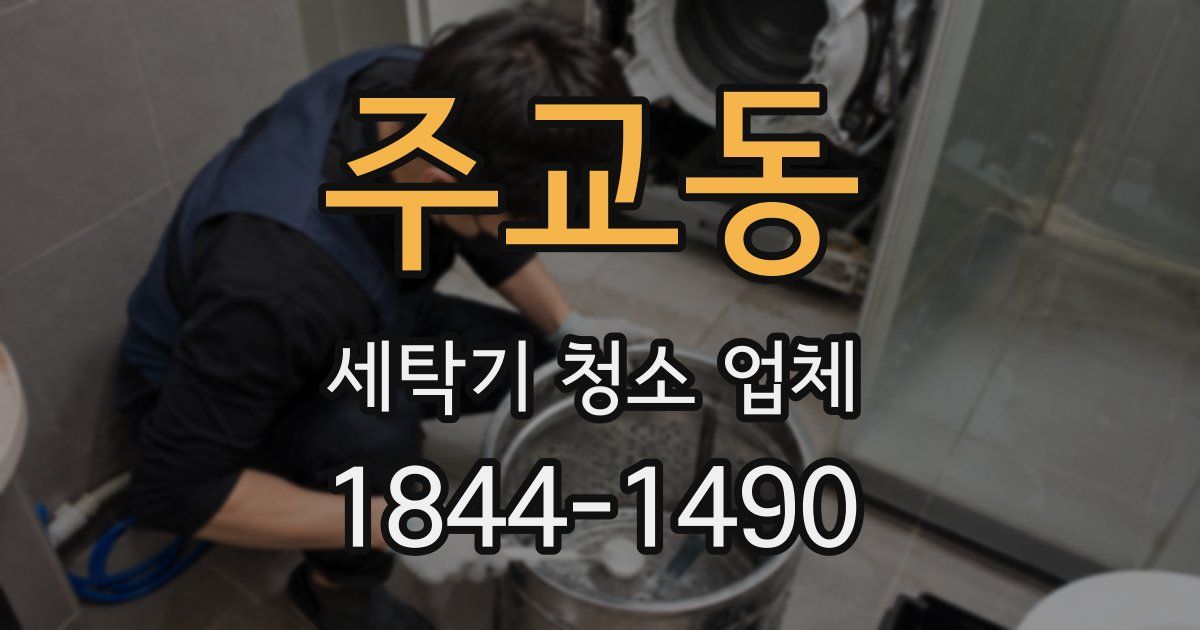 주교동 세탁기 청소 업체