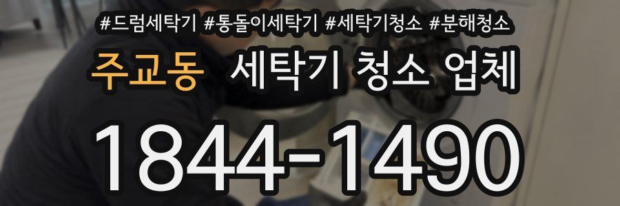 주교동 세탁기 청소 업체