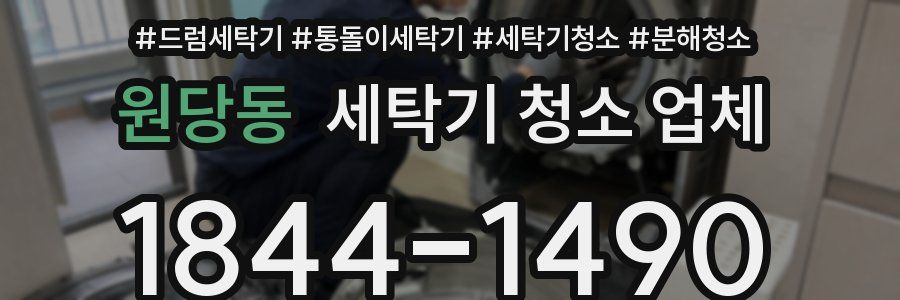 원당동 세탁기 청소 업체