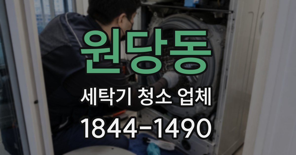 원당동 세탁기 청소 업체