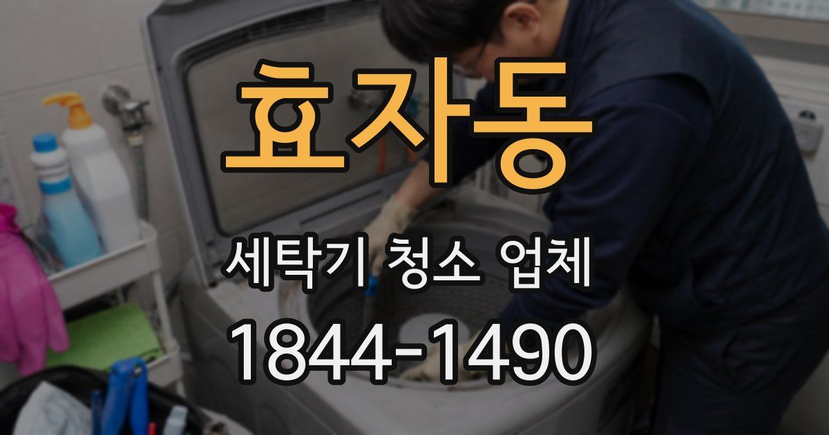 효자동 세탁기 청소 업체