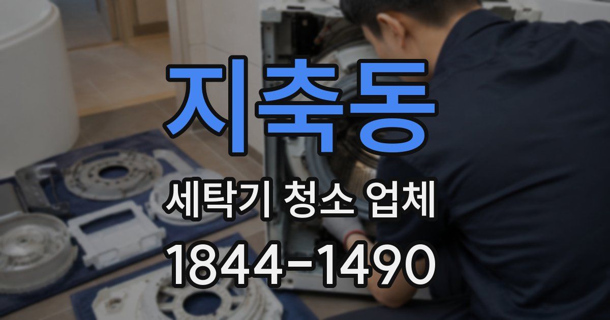지축동 세탁기 청소 업체