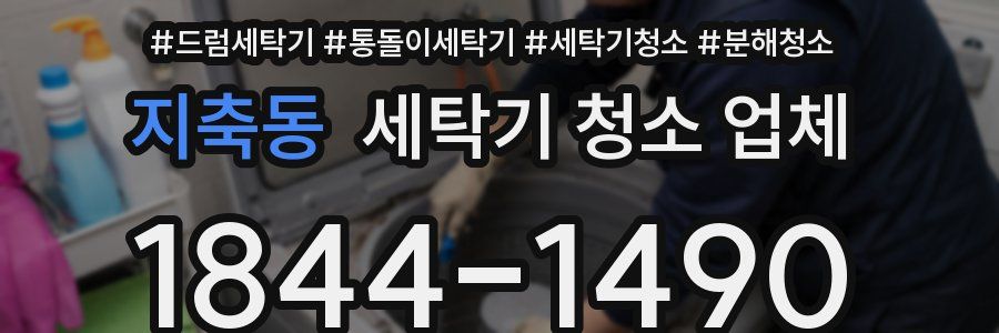 지축동 세탁기 청소 업체