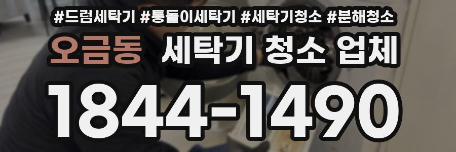 오금동 세탁기 청소 업체