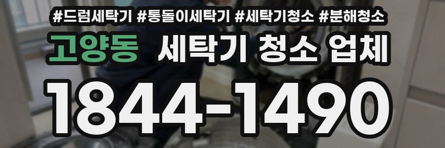 고양동 세탁기 청소 업체