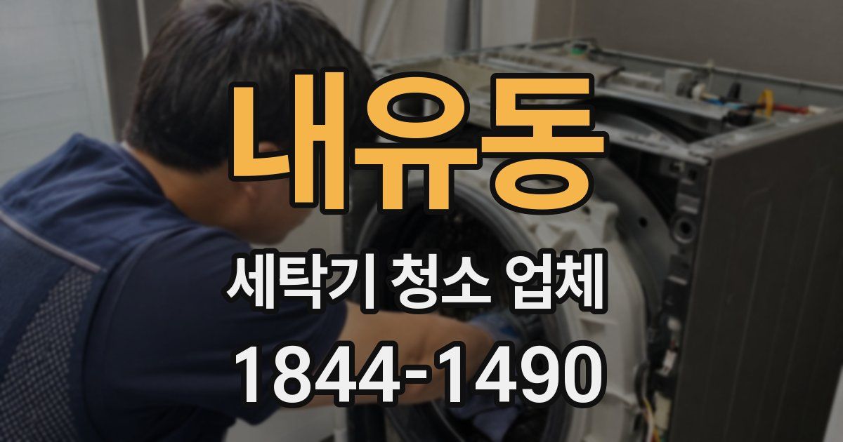 내유동 세탁기 청소 업체