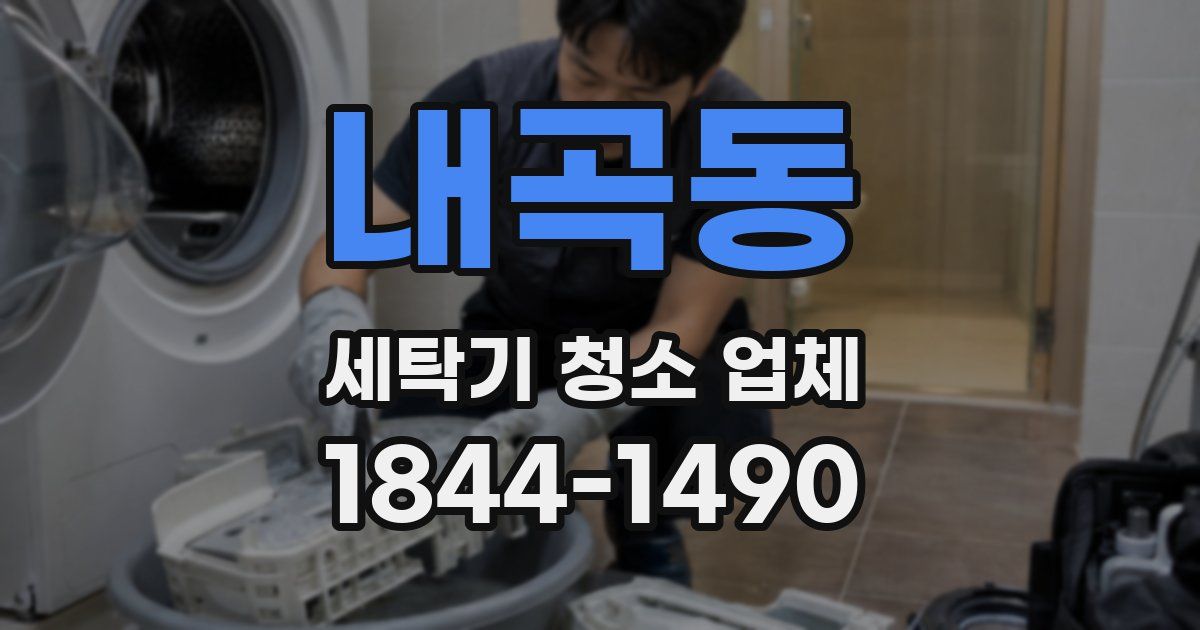 내곡동 세탁기 청소 업체