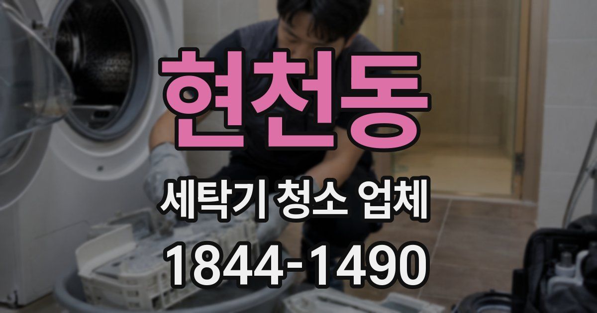 현천동 세탁기 청소 업체