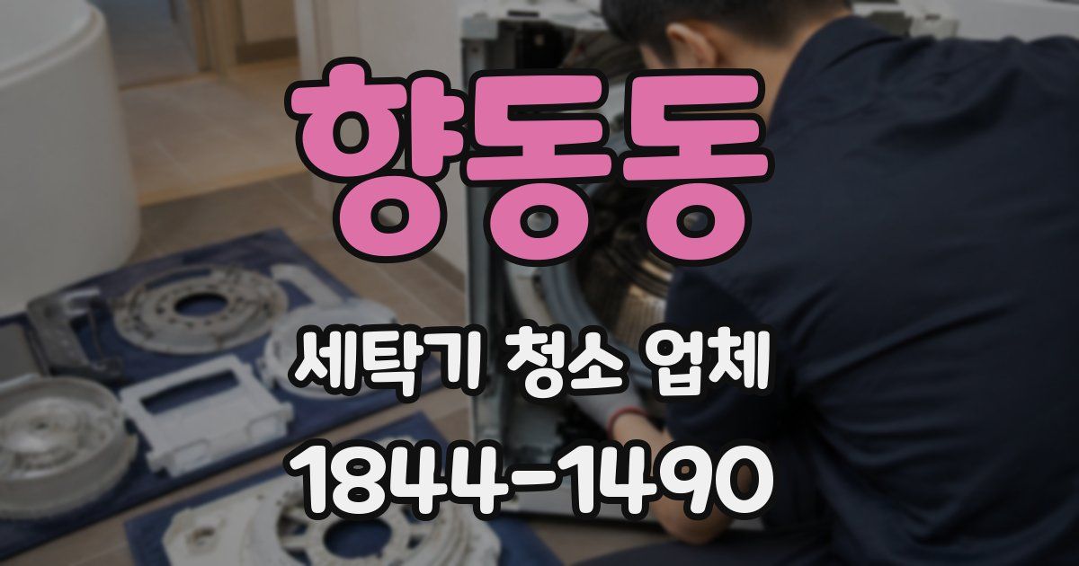 향동동 세탁기 청소 업체