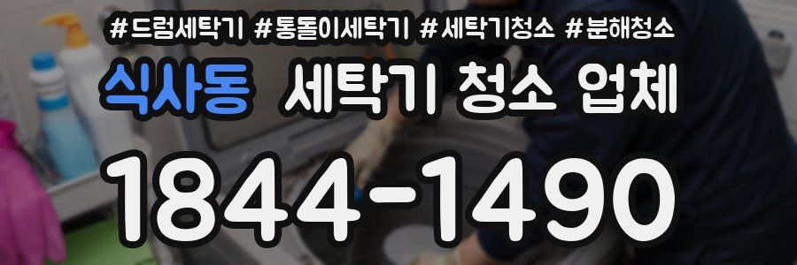 식사동 세탁기 청소 업체