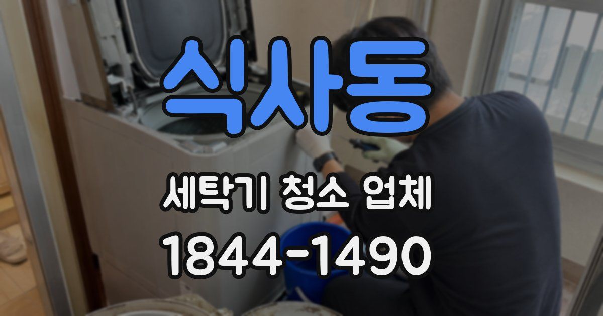 식사동 세탁기 청소 업체