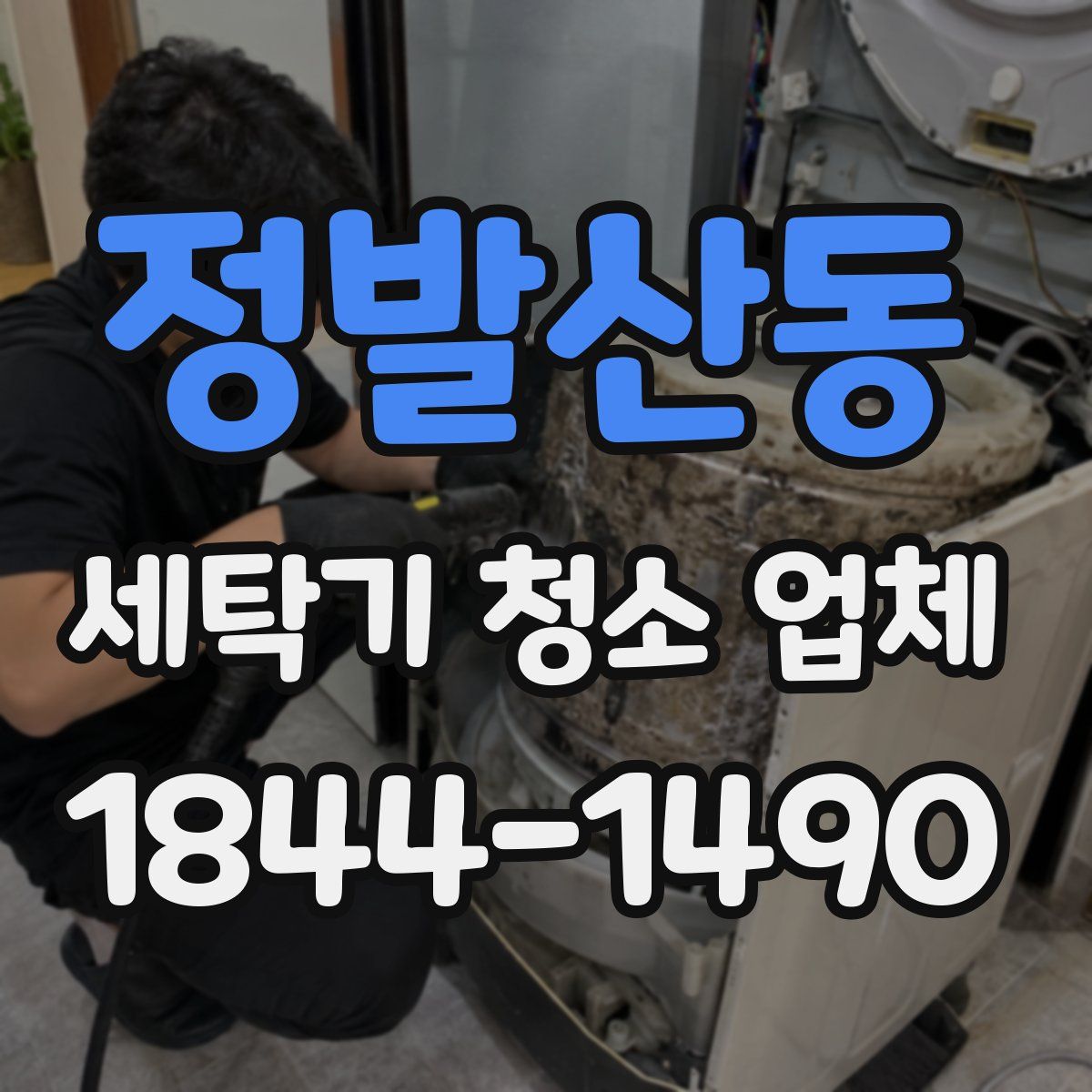 정발산동 세탁기 청소 업체