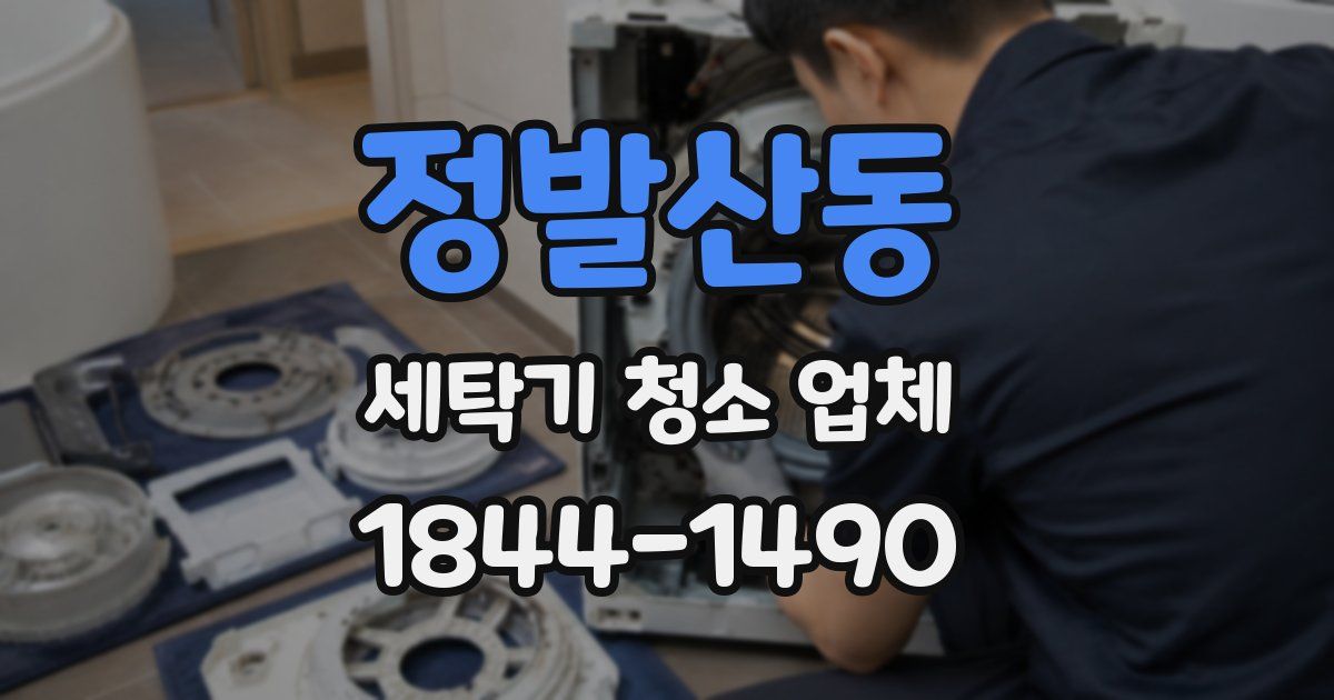정발산동 세탁기 청소 업체