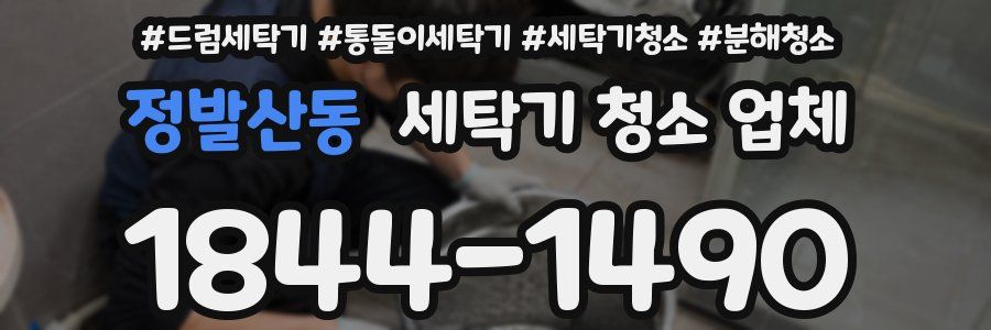 정발산동 세탁기 청소 업체