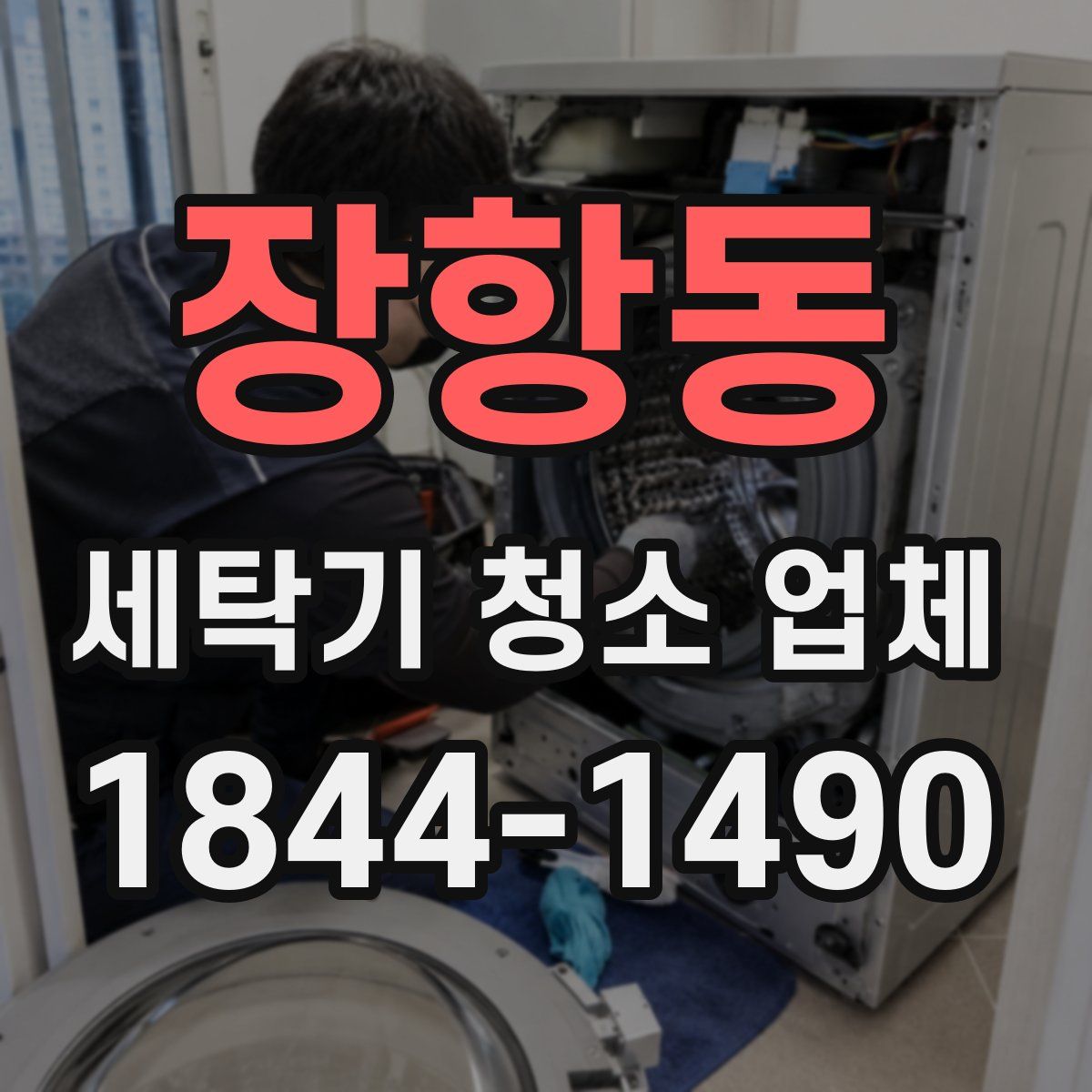 장항동 세탁기 청소 업체