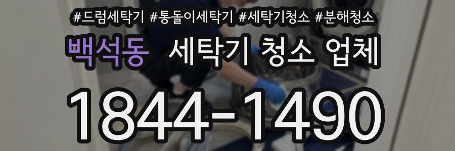 백석동 세탁기 청소 업체